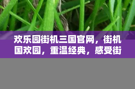 欢乐园街机三国官网，街机国欢园，重温经典，感受街机游戏的魅力