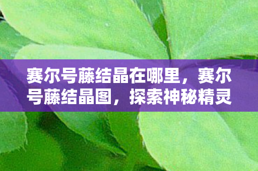 赛尔号藤结晶在哪里，赛尔号藤结晶图，探索神秘精灵世界的奇妙之旅