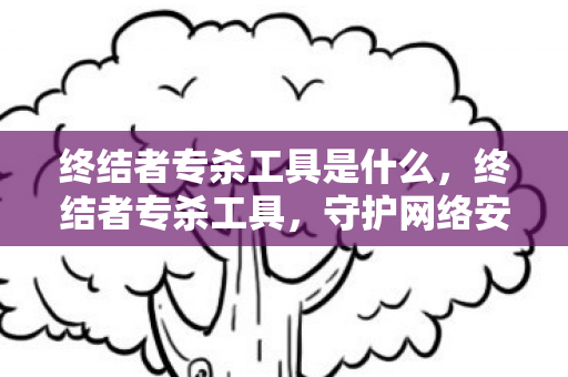 终结者专杀工具是什么，终结者专杀工具，守护网络安全的重要利器