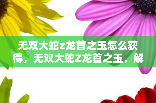 无双大蛇z龙首之玉怎么获得，无双大蛇Z龙首之玉，解锁神秘力量的传奇宝石