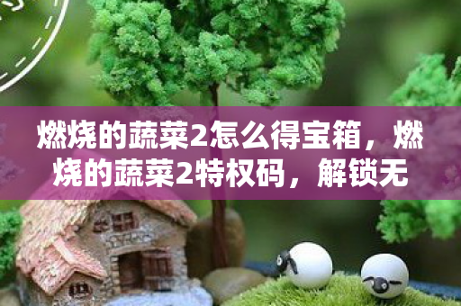 燃烧的蔬菜2怎么得宝箱，燃烧的蔬菜2特权码，解锁无限可能的神秘钥匙