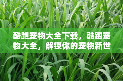 酷跑宠物大全下载，酷跑宠物大全，解锁你的宠物新世界