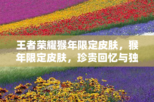 王者荣耀猴年限定皮肤，猴年限定皮肤，珍贵回忆与独特魅力的结合