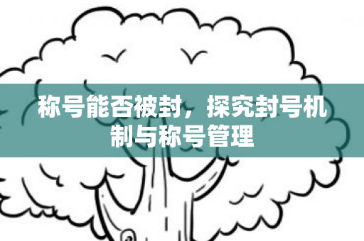 称号能否被封，探究封号机制与称号管理