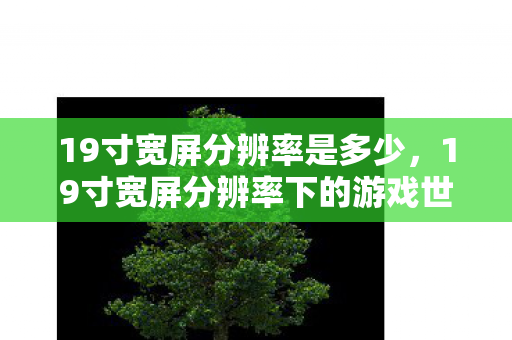 19寸宽屏分辨率是多少，19寸宽屏分辨率下的游戏世界，探索视觉与体验的完美融合