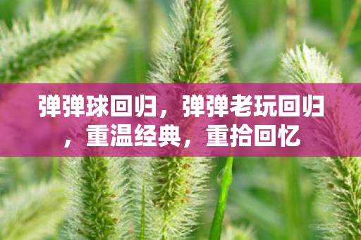 弹弹球回归，弹弹老玩回归，重温经典，重拾回忆