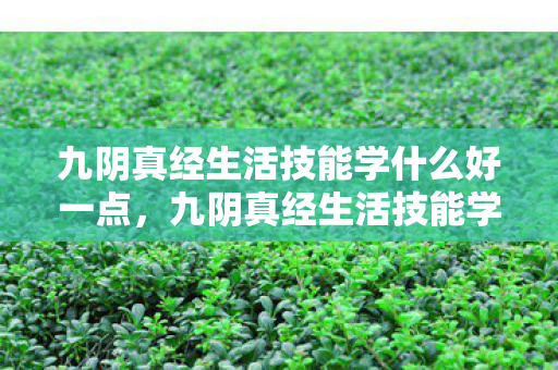 九阴真经生活技能学什么好一点，九阴真经生活技能学什么好