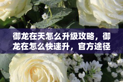 御龙在天怎么升级攻略，御龙在怎么快速升，官方途径与策略分享