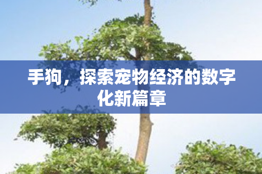手狗，探索宠物经济的数字化新篇章