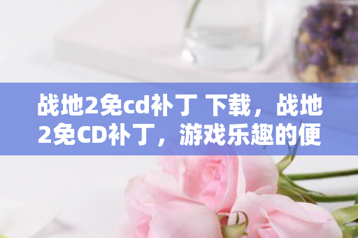 战地2免cd补丁 下载，战地2免CD补丁，游戏乐趣的便捷之道