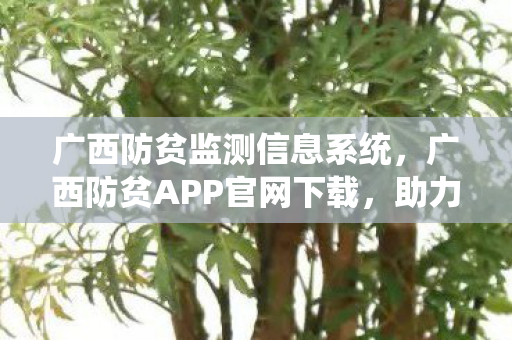 广西防贫监测信息系统，广西防贫APP官网下载，助力精准防贫，守护乡村振兴