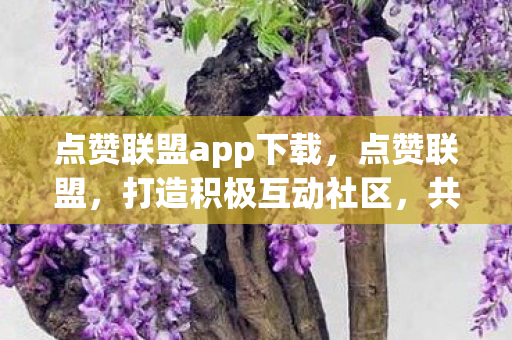 点赞联盟app下载，点赞联盟，打造积极互动社区，共创优质内容生态