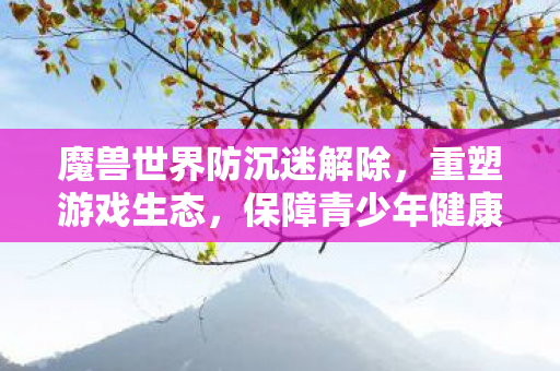 魔兽世界防沉迷解除，重塑游戏生态，保障青少年健康