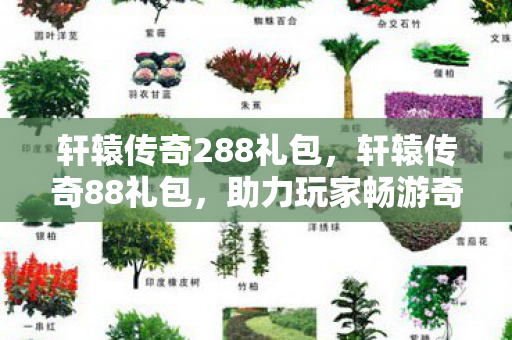 轩辕传奇288礼包，轩辕传奇88礼包，助力玩家畅游奇幻世界的神秘钥匙