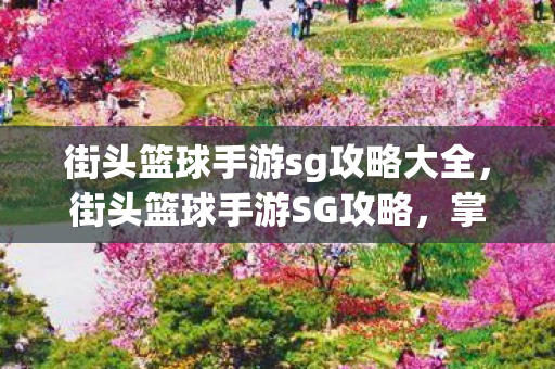 街头篮球手游sg攻略大全，街头篮球手游SG攻略，掌握得分技巧，提升比赛胜率