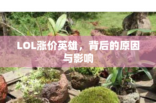 LOL涨价英雄，背后的原因与影响
