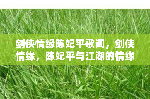 剑侠情缘陈妃平歌词，剑侠情缘，陈妃平与江湖的情缘