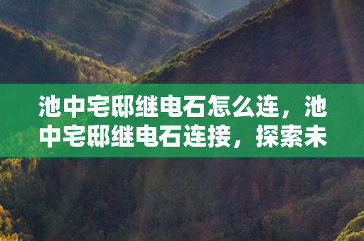 池中宅邸继电石怎么连，池中宅邸继电石连接，探索未知领域的奇妙之旅
