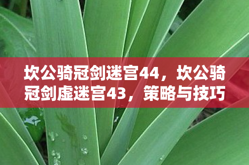 坎公骑冠剑迷宫44，坎公骑冠剑虚迷宫43，策略与技巧的深度剖析