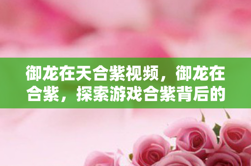 御龙在天合紫视频，御龙在合紫，探索游戏合紫背后的奥秘