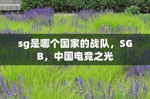 sg是哪个国家的战队，SGB，中国电竞之光