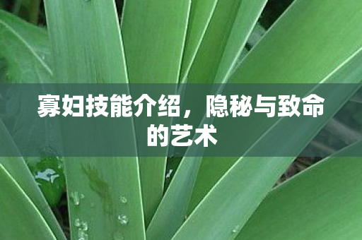 寡妇技能介绍，隐秘与致命的艺术