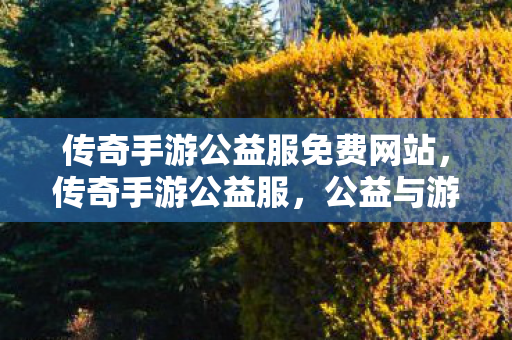 传奇手游公益服免费网站，传奇手游公益服，公益与游戏的完美结合