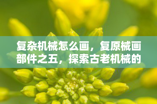复杂机械怎么画，复原械画部件之五，探索古老机械的艺术与科学