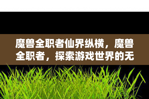 魔兽全职者仙界纵横，魔兽全职者，探索游戏世界的无限可能