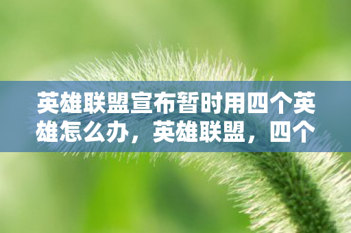 英雄联盟宣布暂时用四个英雄怎么办，英雄联盟，四个英雄带来的新挑战与机遇