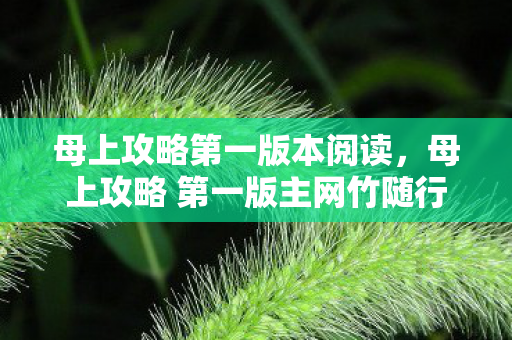 母上攻略第一版本阅读，母上攻略 第一版主网竹随行
