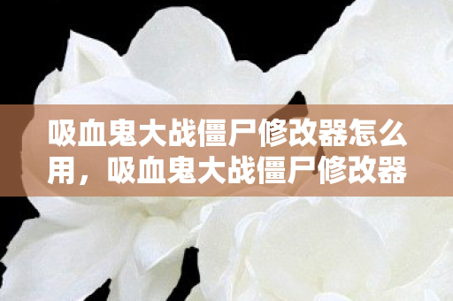 吸血鬼大战僵尸修改器怎么用，吸血鬼大战僵尸修改器，解锁无限可能的冒险之旅