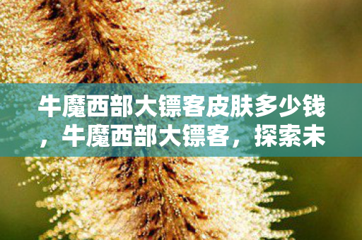 牛魔西部大镖客皮肤多少钱，牛魔西部大镖客，探索未知世界的冒险之旅