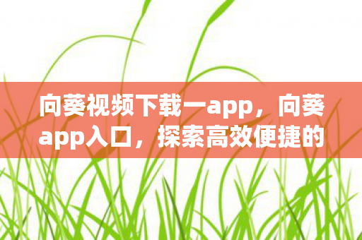 向葵视频下载一app，向葵app入口，探索高效便捷的移动办公新体验