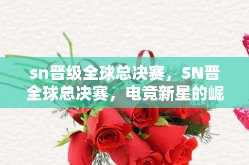 sn晋级全球总决赛，SN晋全球总决赛，电竞新星的崛起之路