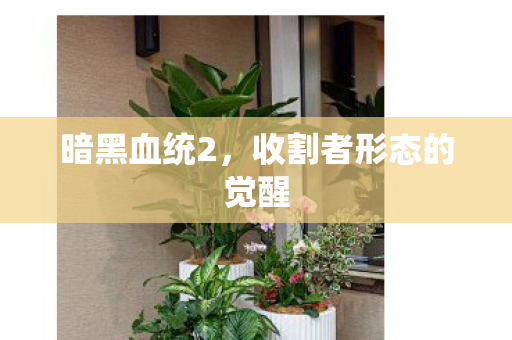 暗黑血统2，收割者形态的觉醒