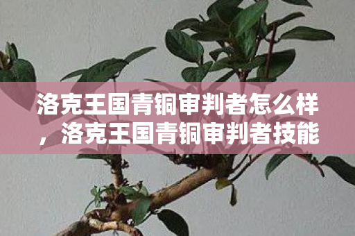 洛克王国青铜审判者怎么样，洛克王国青铜审判者技能表深度解析