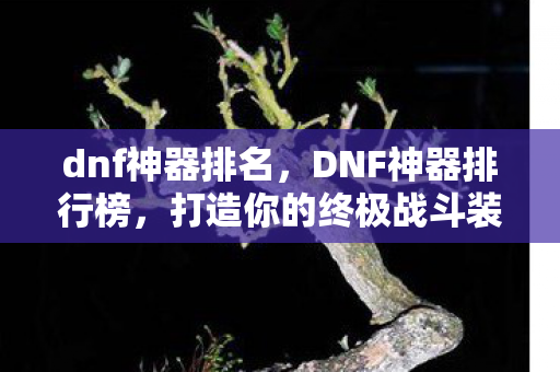 dnf神器排名，DNF神器排行榜，打造你的终极战斗装备