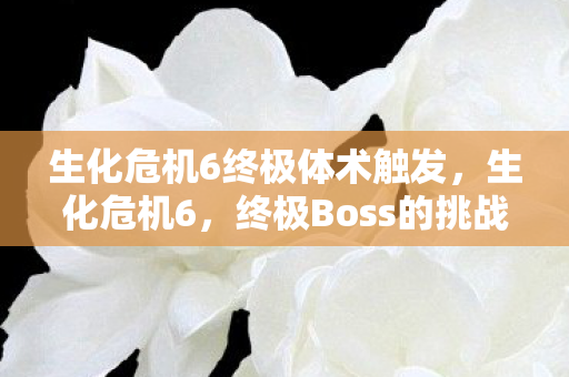 生化危机6终极体术触发，生化危机6，终极Boss的挑战与解析
