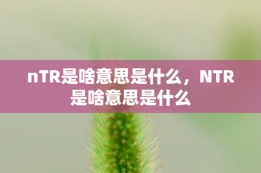 nTR是啥意思是什么，NTR是啥意思是什么