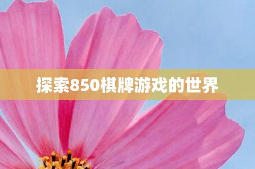 探索850棋牌游戏的世界