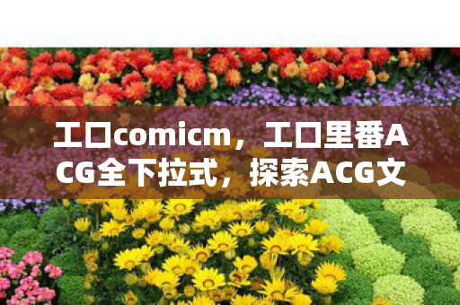 工口comicm，工口里番ACG全下拉式，探索ACG文化的独特魅力