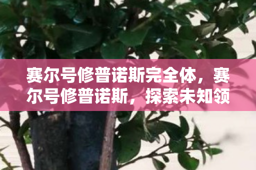 赛尔号修普诺斯完全体，赛尔号修普诺斯，探索未知领域的神秘之旅