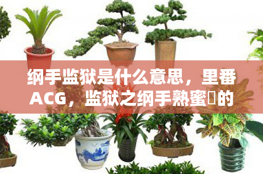 纲手监狱是什么意思，里番ACG，监狱之纲手熟蜜姫的深层魅力