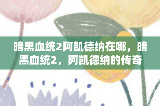暗黑血统2阿凯德纳在哪，暗黑血统2，阿凯德纳的传奇之旅