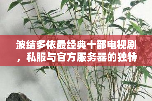 波结多依最经典十部电视剧，私服与官方服务器的独特魅力，探索游戏世界的不同维度