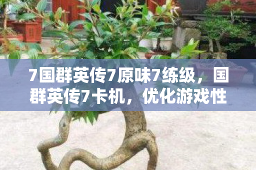 7国群英传7原味7练级，国群英传7卡机，优化游戏性能，提升流畅体验
