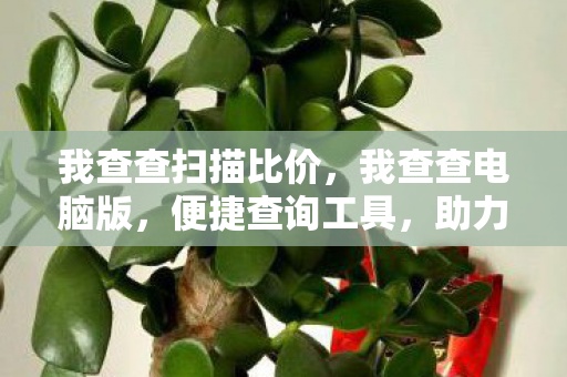 我查查扫描比价，我查查电脑版，便捷查询工具，助力高效办公