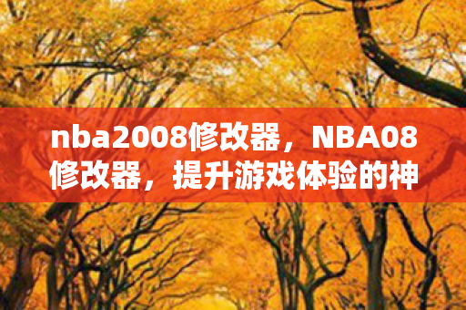 nba2008修改器，NBA08修改器，提升游戏体验的神奇工具