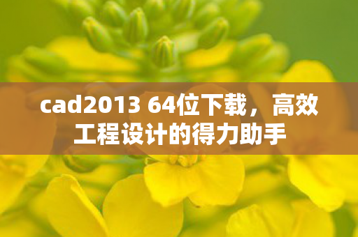 cad2013 64位下载，高效工程设计的得力助手